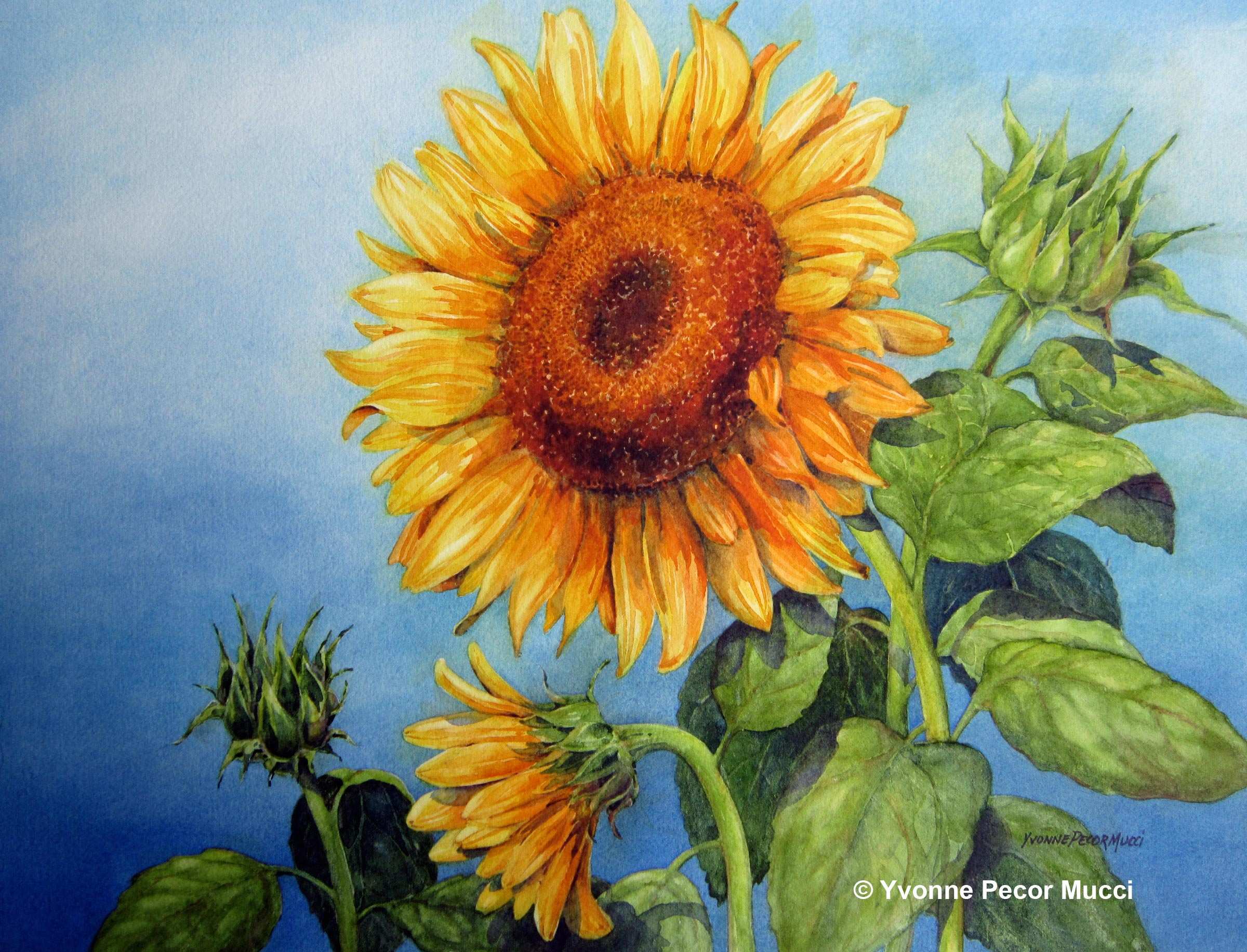 2400x1833 Sunflower Painting Elegant Sunflowers Watercolor Painting Ideas