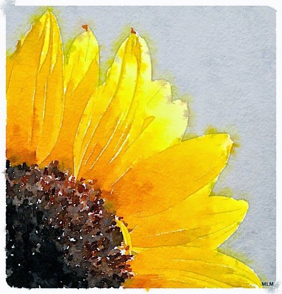 555x580 Sweet Leaf Notebook Watercolor Sunflowers Watercolors