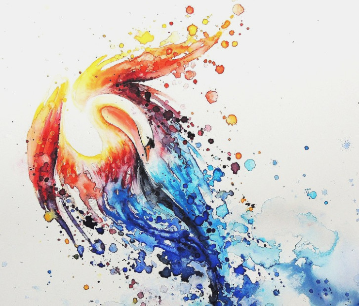 727x620 White Swan With Orange And Blue Splashed Watercolor Wings