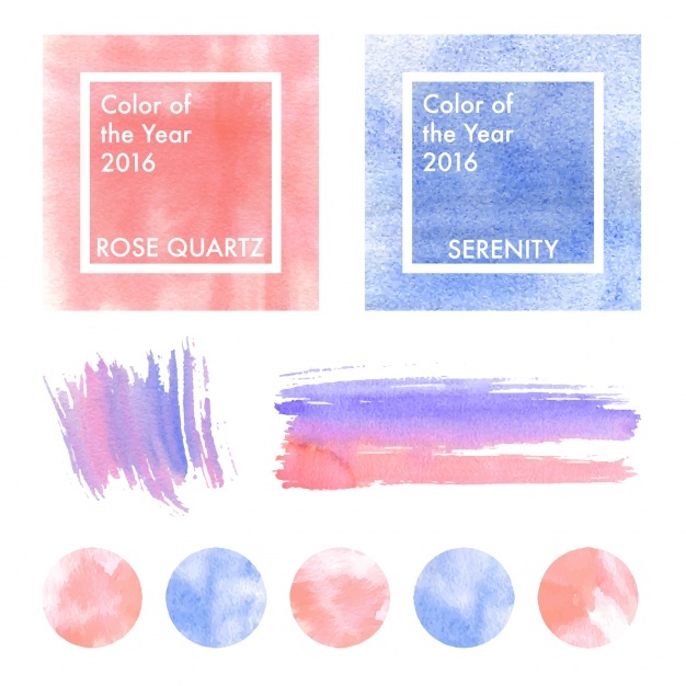 626x626 Color Swatches Vectors, Photos And Psd Files Free Download