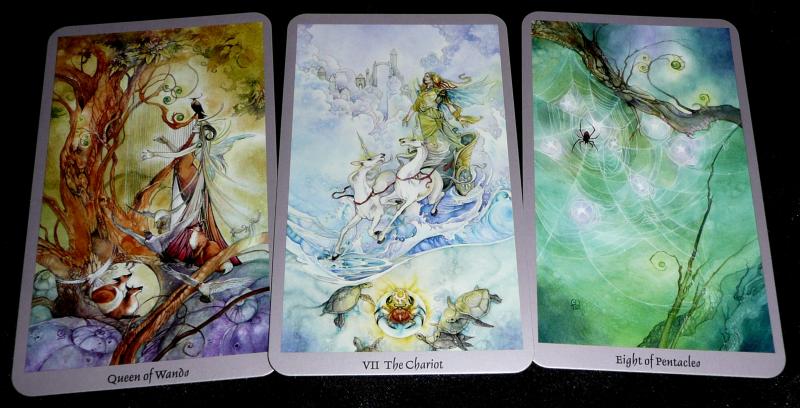 800x408 Moonraven Tarot