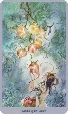 236x395 98 Best Shadowscapes Tarot Deck Images Tarot Decks