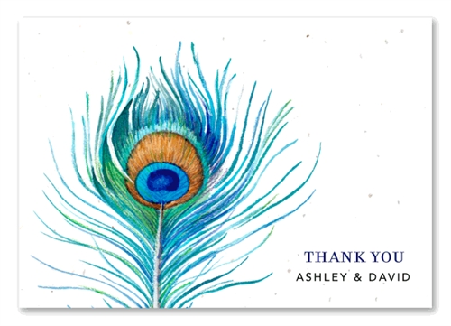 500x361 Watercolor Thank You Cards On Seeded Paper ~ Delicate Peacock By