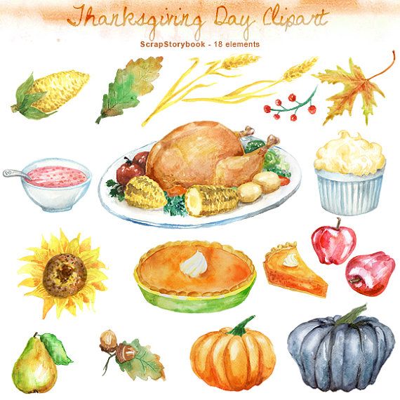 570x570 Watercolor Thanksgiving Day Clipart Digital By Scrapstorybook