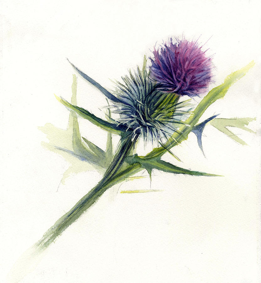 832x900 Purple Thistle Painting By Leslie Redhead