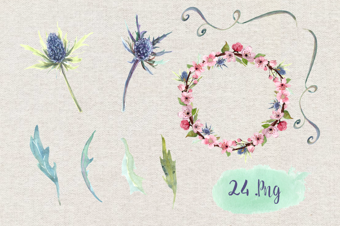 1160x772 Watercolor Thistle And Cherry Clip Art Set By Tatibordiu