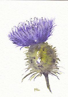236x333 Completed Plant Of The Fortnight Thistle Printpattern