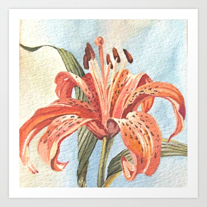 700x700 Orange Tiger Lily Watercolor Painting Art Print By Betweentheweeds
