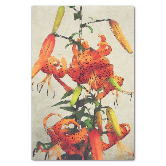 540x540 Orange Watercolor Tiger Lily 1 Tissue Paper