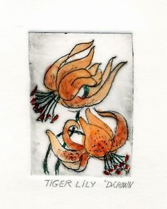 240x300 Tiger Lillies Original Watercolor Etching Signed Miniature Lily
