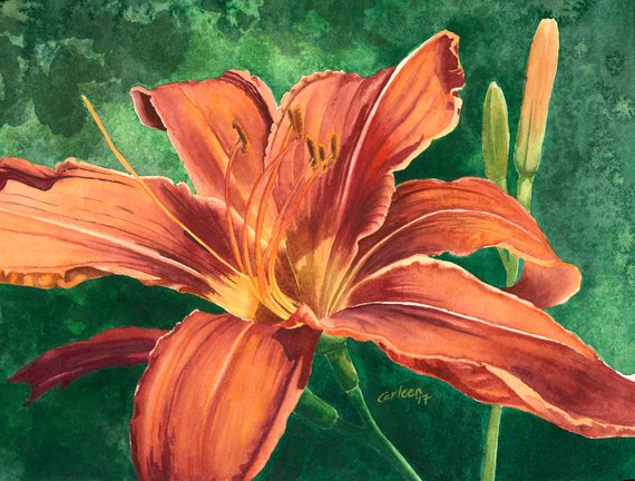 570x432 Tiger Lily Giclee Print From Original Watercolor Painting Etsy