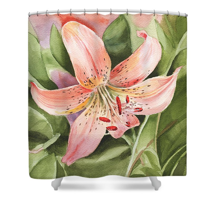 800x800 Tiger Lily Watercolor By Irina Sztukowski Shower Curtain For Sale