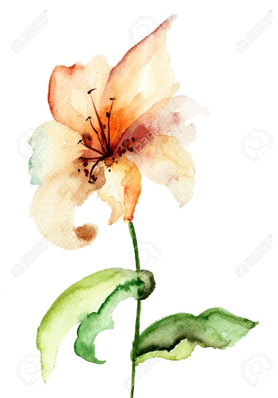 909x1300 Tiger Watercolor Tattoo Watercolor Tiger Lily Tattoo Watercolor