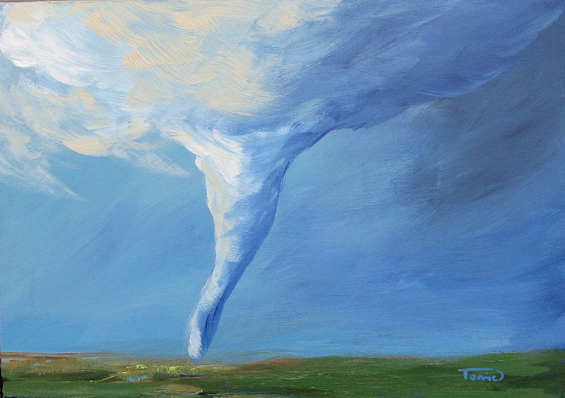 800x564 Torrie Smiley, Original Works Of Art Tornado Vi