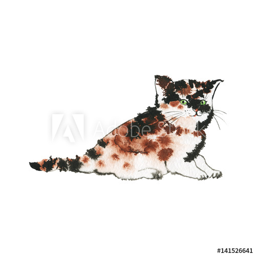 500x500 Hand Drawn British Tabby Kitten. Watercolor Tortoise Shell Cute