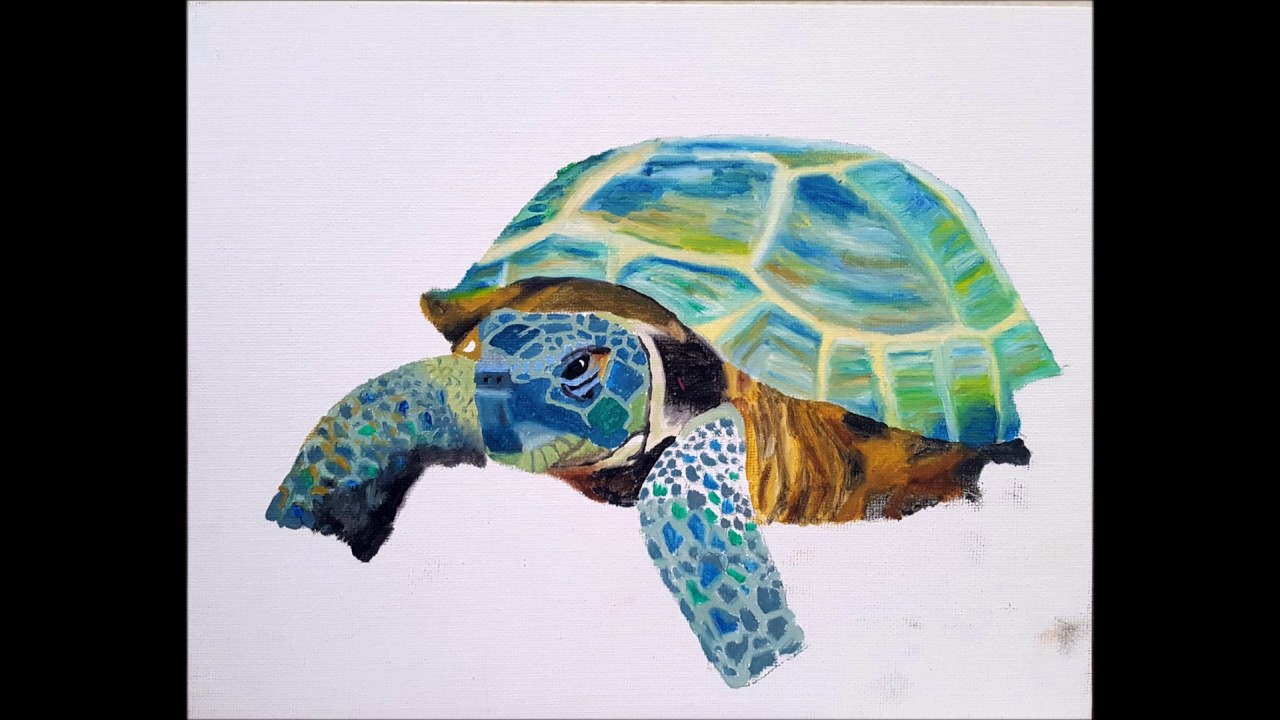 1280x720 Tortoise Painting Step By Step