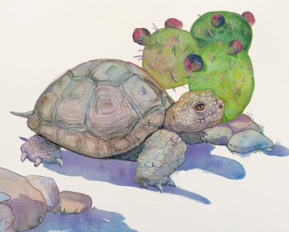 570x457 Watercolor Desert Tortoise Painting Tortoise Art Print Etsy