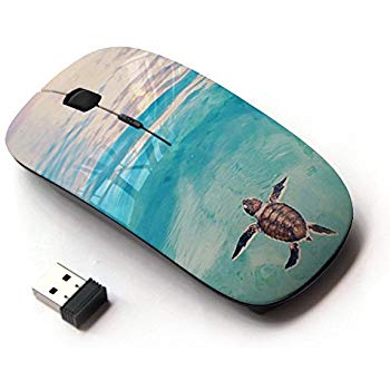 350x350 Koolmouse [ Optical 2.4g Wireless Mouse ] [ Tortoise