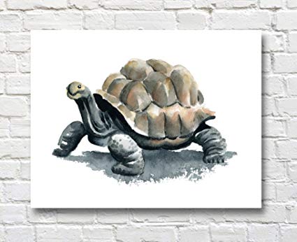 425x346 Tortoise Watercolor Tortoise Art Print Nursery Decor