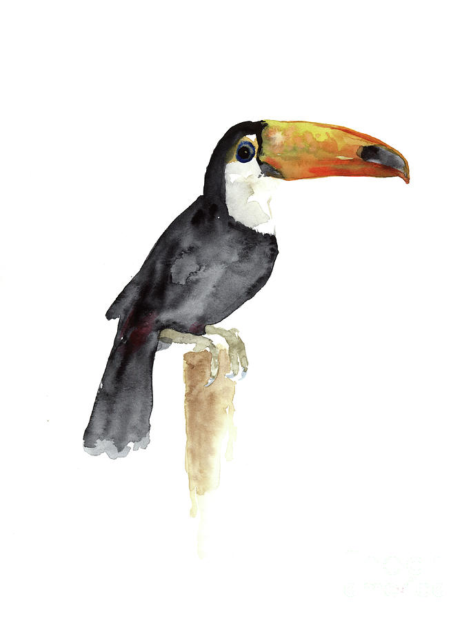 683x900 Toucan Watercolor Painting Tropical Bird Kids Playroom Art Prin