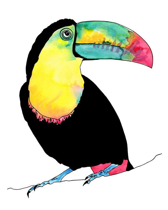570x713 Toucan Watercolour Tropical Art Print Blue Green Bird Yellow Bird