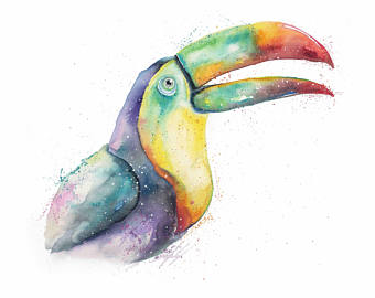 340x270 Toucan Watercolor Etsy