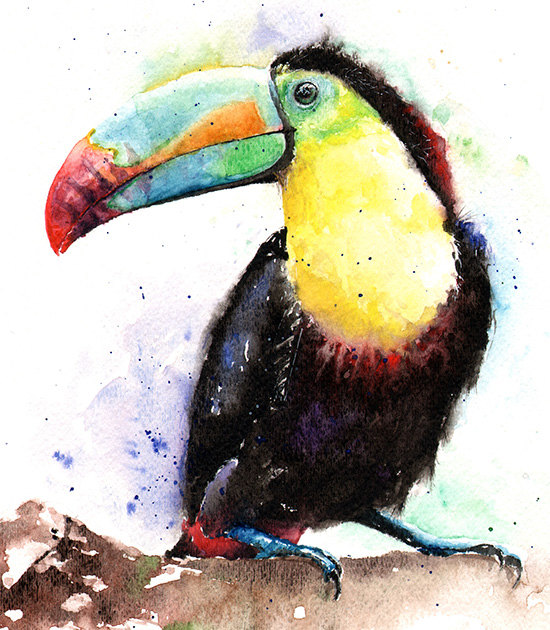 550x630 Watercolor Toucan Painting