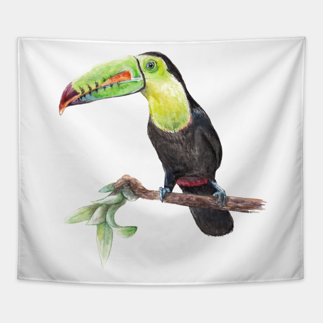 630x630 Watercolor Toucan Bird
