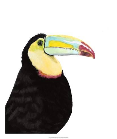413x488 Watercolor Toucan Giclee Print By Naomi Mccavitt