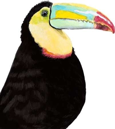 402x450 Watercolor Toucan By Artist Mccavitt, Naomi Decorative Print