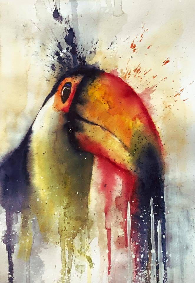 662x960 Watercolor Toucan, Bird, Colors, Painting, Watercolours, Splash