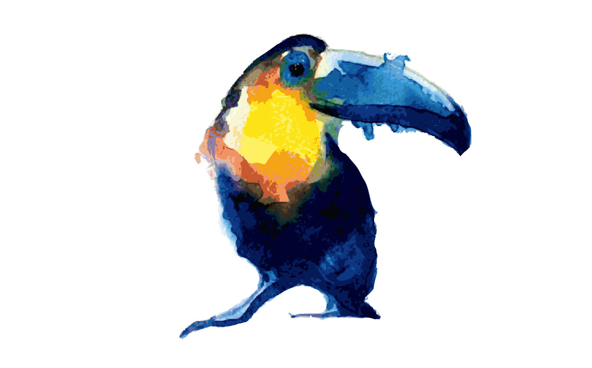 1160x722 Toucan Watercolor By Zerrineart