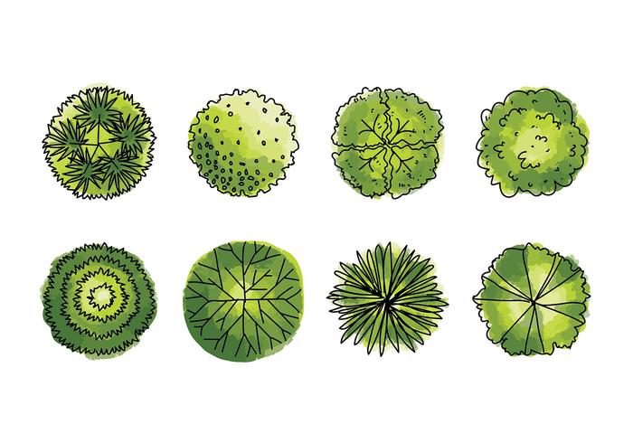 700x490 Tree Tops Watercolor Vector