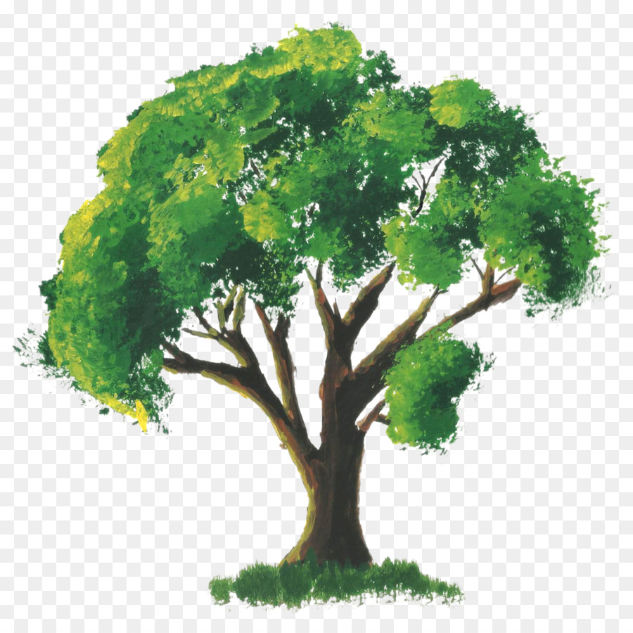 900x900 Tree Watercolor Painting Room