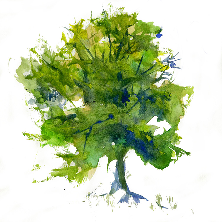 750x750 Watercolor Painting A Green Tree Watercolor Painting Lesson By