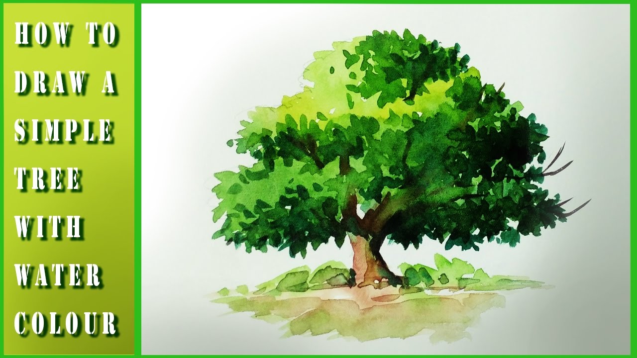 1280x720 How To Draw Tree With Watercolor