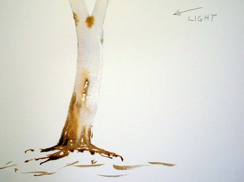 800x598 Painting Eucalyptus Trees With Watercolor Surface Textures