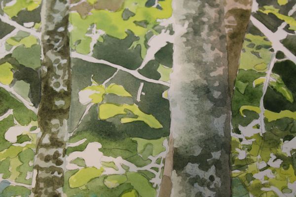 600x400 Painting Trees And Leaves Watercolor Demonstration