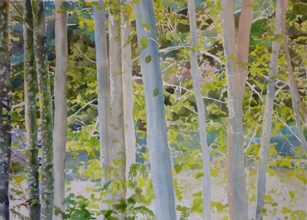 600x430 Painting Trees And Leaves With Watercolor On Either Side Of The