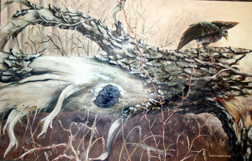 500x321 Tree Bark [Archive]