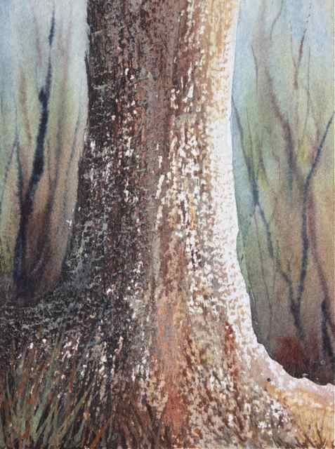 477x640 Watercolour Dry Brush Technique Used For Tree Bark Texture