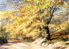236x168 635 Best Art Watercolor Trees Images Watercolor