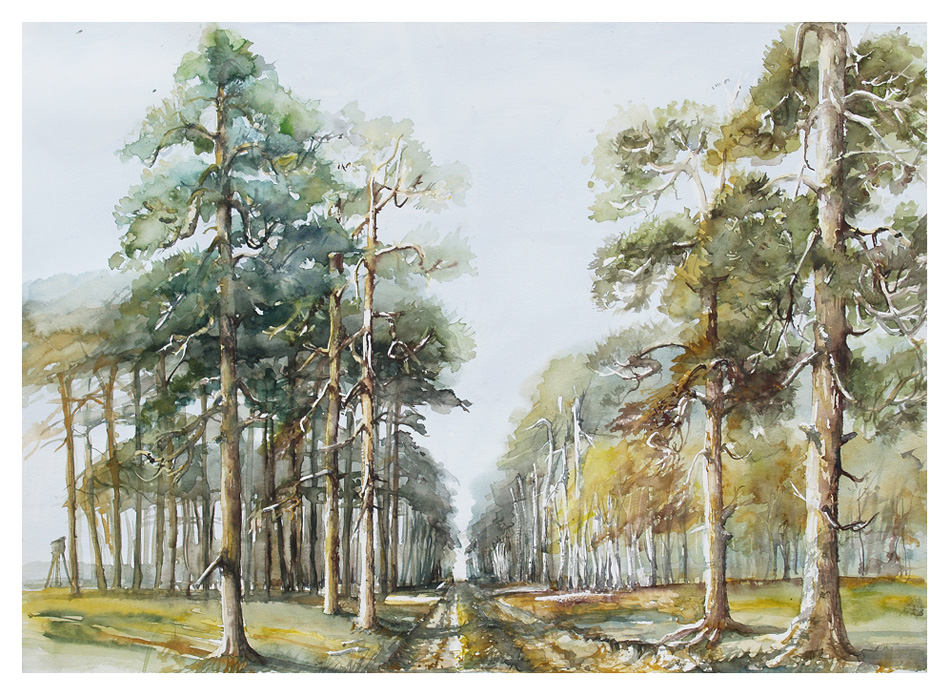 950x696 Solar Landscape With Pine Tree By Modliszqa