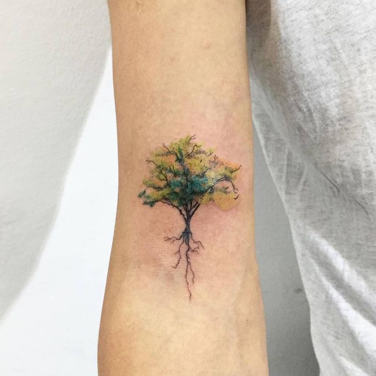 736x736 34 Watercolor Tree Tattoo Designs Amazing Tattoo Ideas