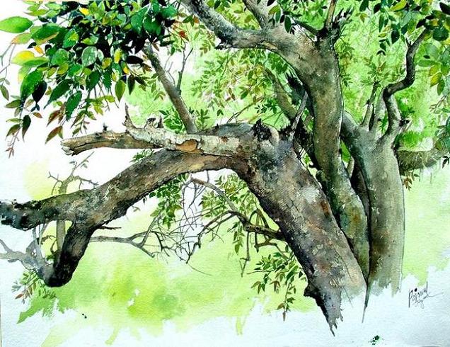 636x490 Indian Watercolor Paintings