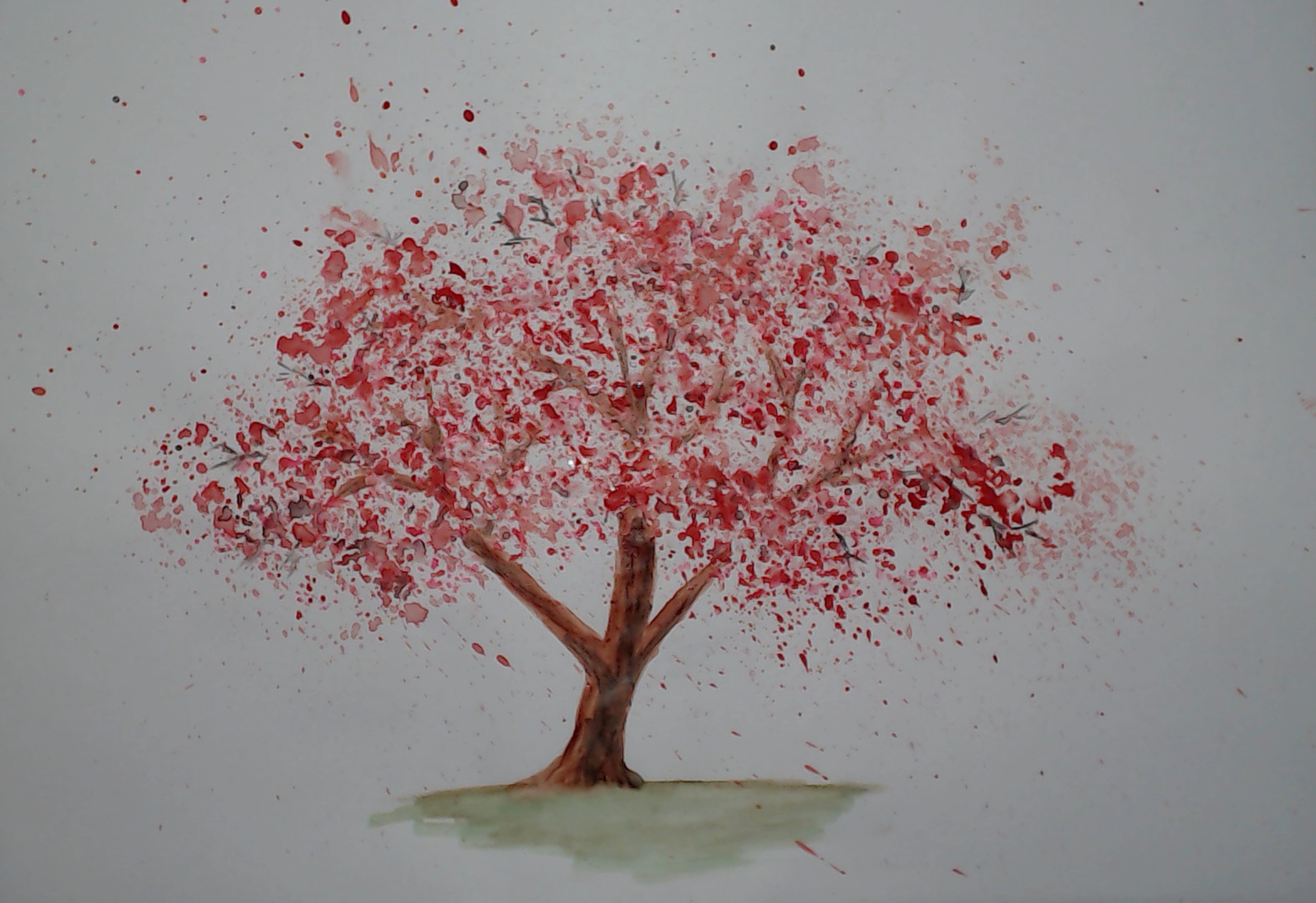 4227x2903 Painting A Cherry Tree In Watercolor