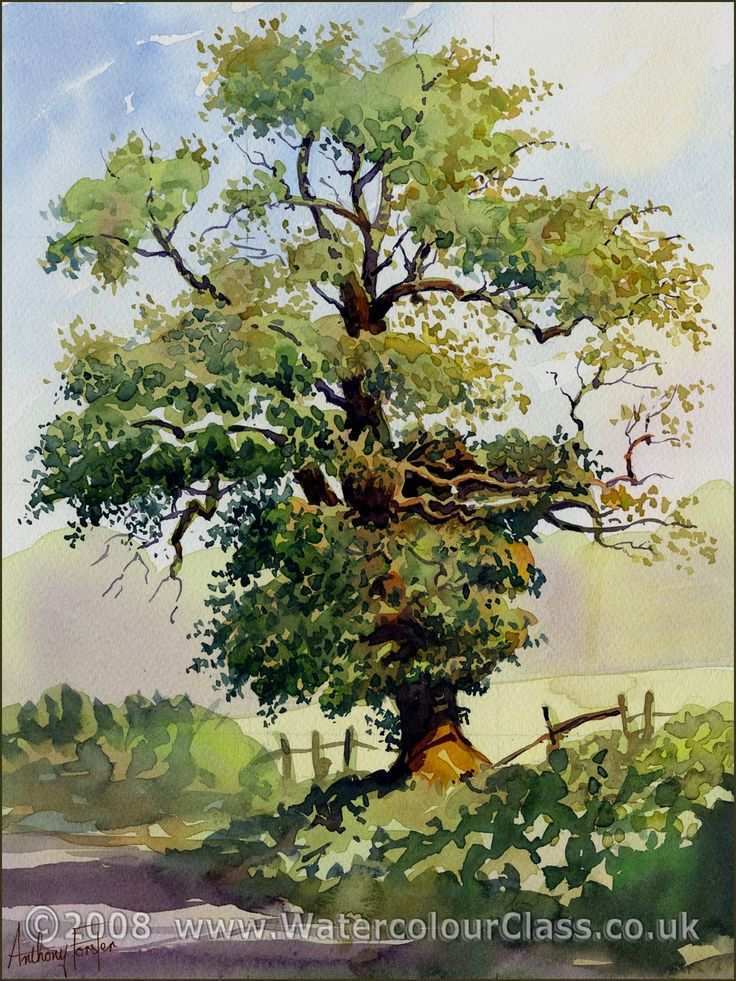 736x981 Tree Painting Unique 25 Best Ideas About Watercolor Trees On