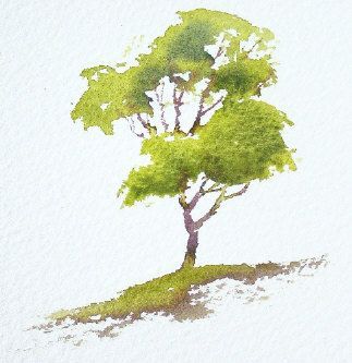 323x333 Watercolor Trees Art Drawing Inspiration Illustration
