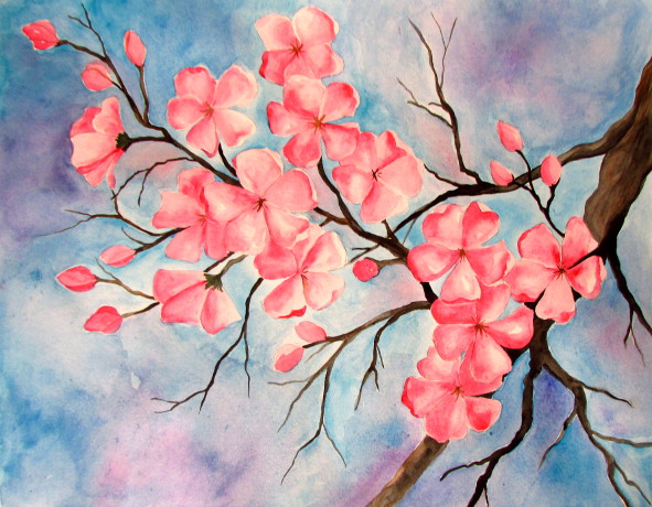 591x460 Cherry Blossom Watercolor Painting