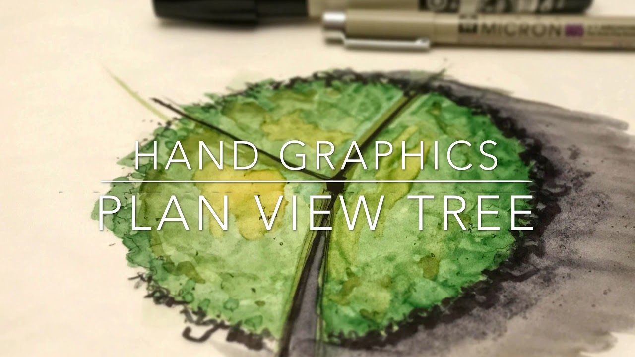 1280x720 How To Draw A Plan View Tree With Watercolor Effect.